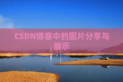 CSDN博客中的图片分享与展示